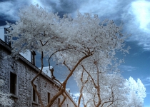 Montreal, Lachine Canal, Silophone, IR 012 3 4 edit  Courtyard, Place d'Youville : Montreal, Lachine Canal, Silophone, IR, Infrared, Montreal, Lachine Canal, Silo #5, IR, Montreal